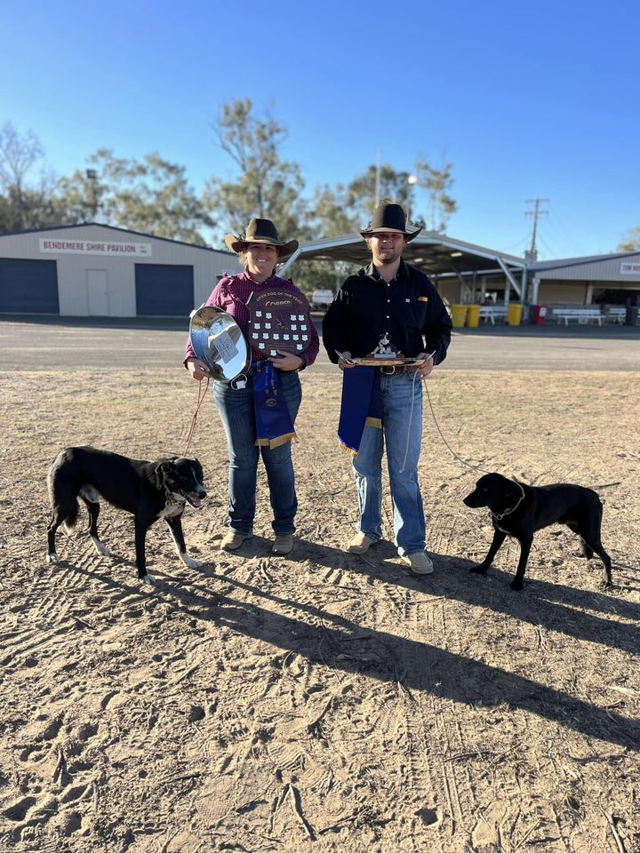 Open & Novice DOTY Winners